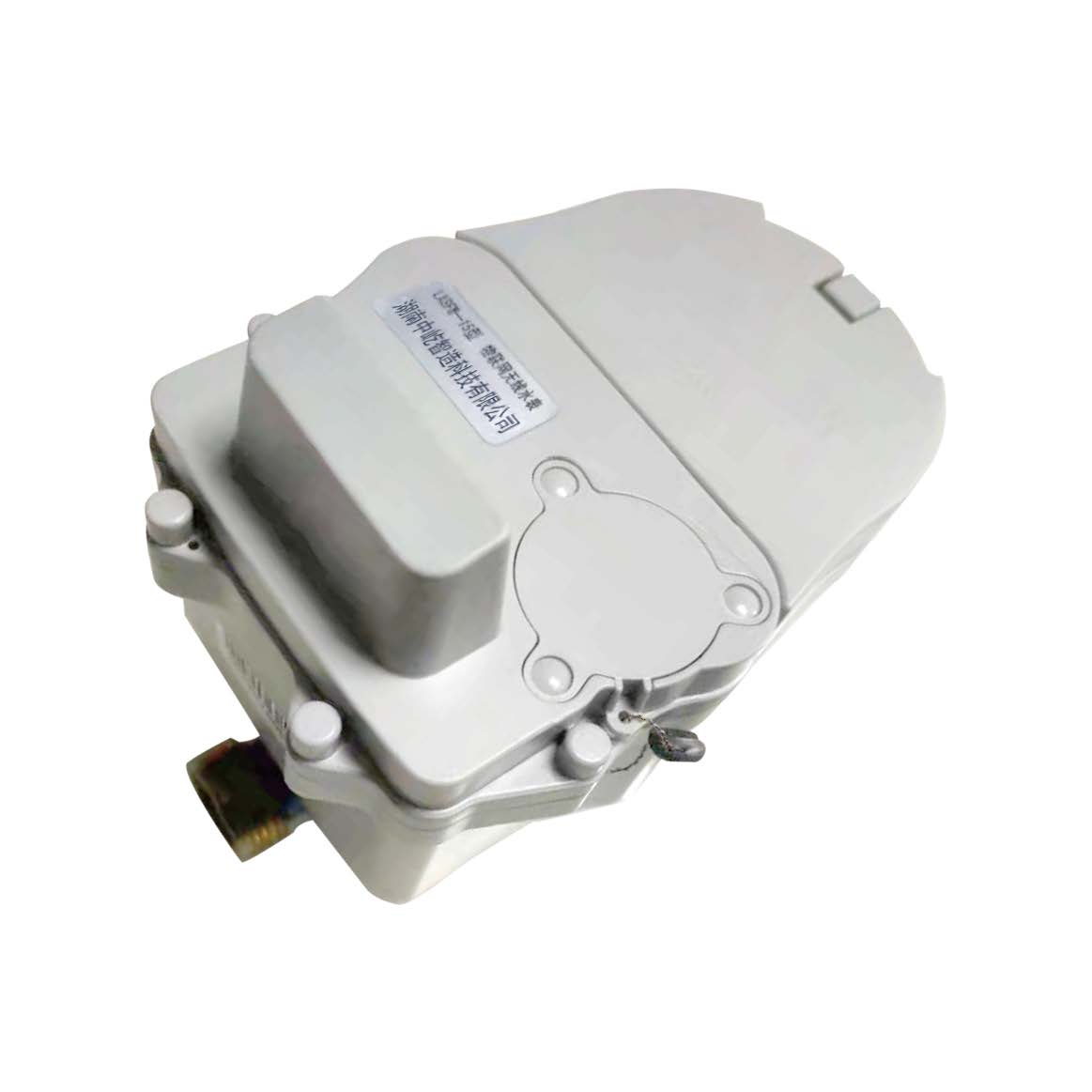 LXSW（R）15-25LoRa无线远程水表（有阀）